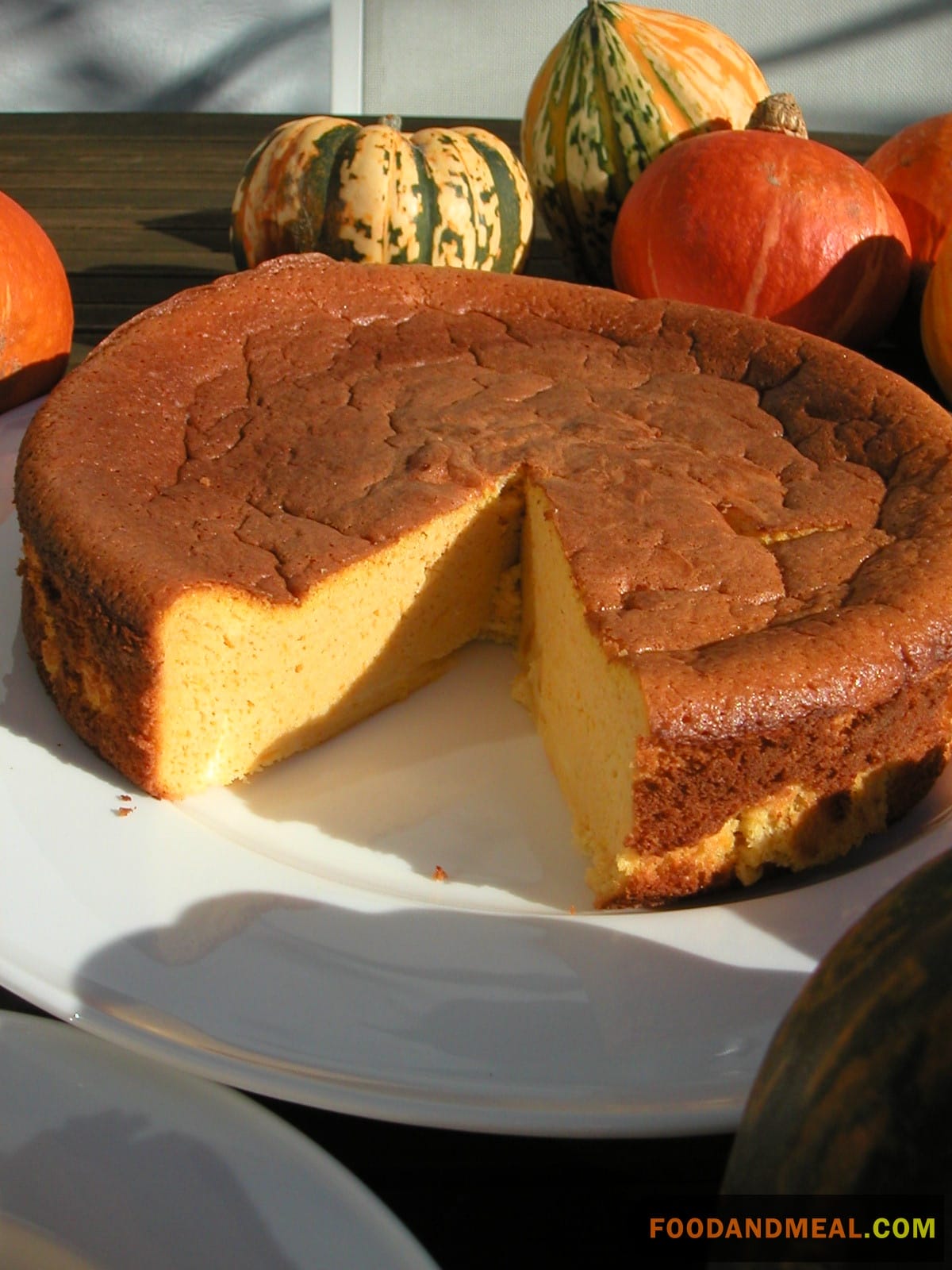 Pumpkin Ricotta Cake