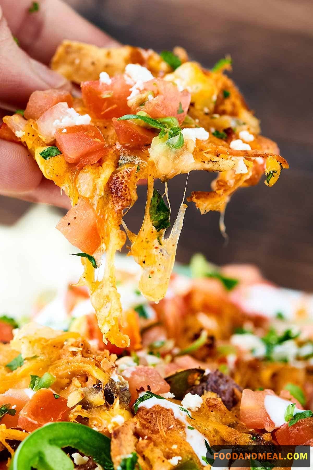  Mexican Chicken Nachos