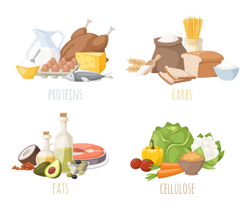 Healthy Nutrition, Proteins Fats Carbohydrates Balanced Diet, Cooking, Culinary And Food Concept Vector.