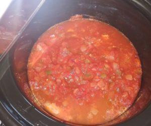 Salsa Chicken Easy Recipe