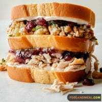 Top 4 Most Favorite Turkey Sandwich Recipes 1