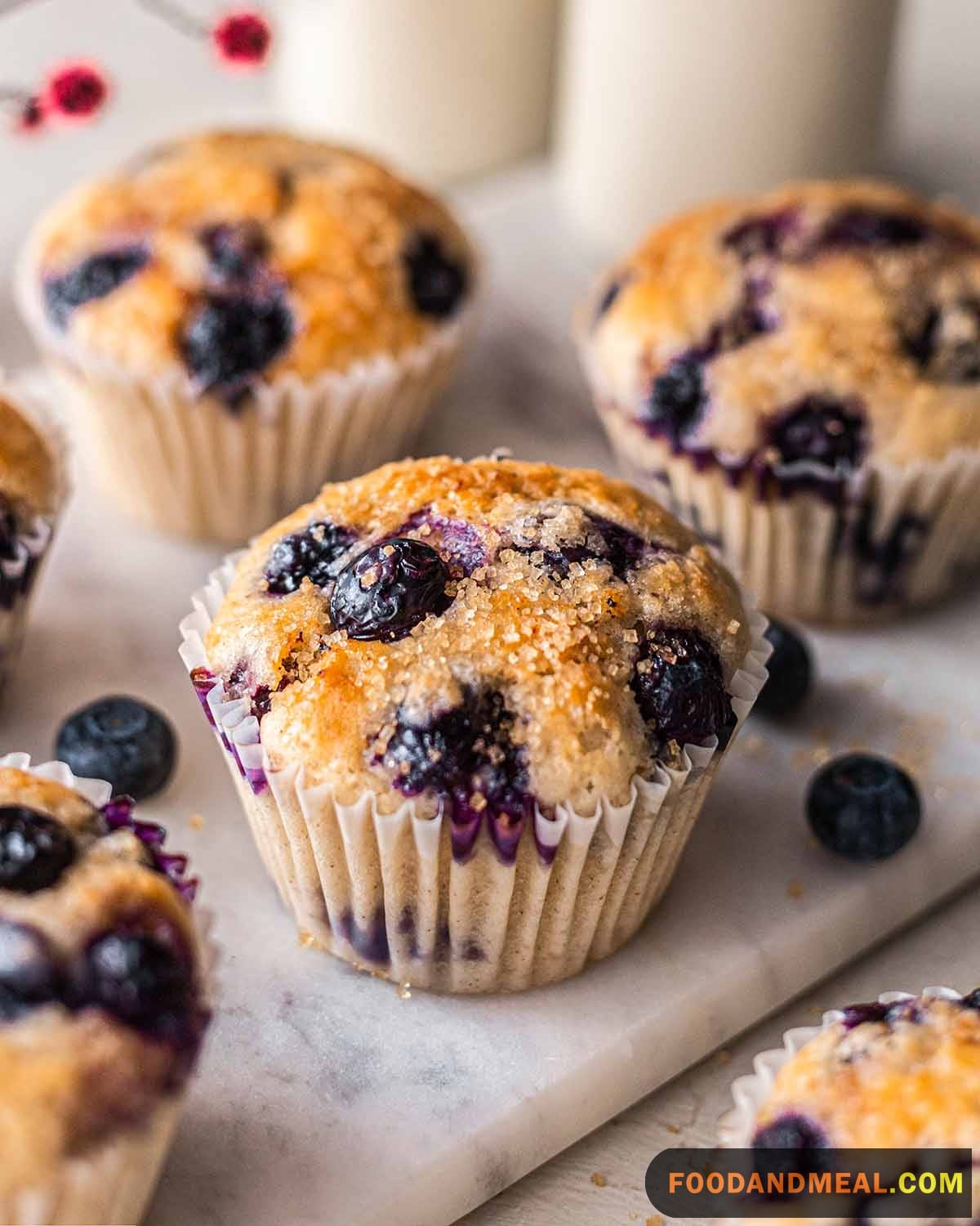 Vegan Blueberry Muffin