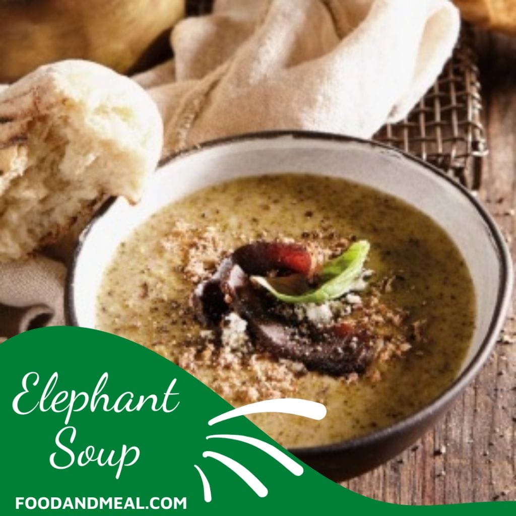 Elephant Soup Made From Biltong Or Beef Jerky