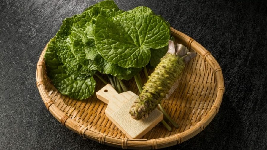 How to make Homemade Wasabi at home 10 wasabi leaves
