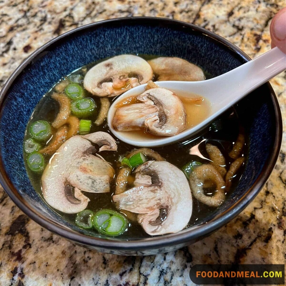 Japanese Clear Onion Soup