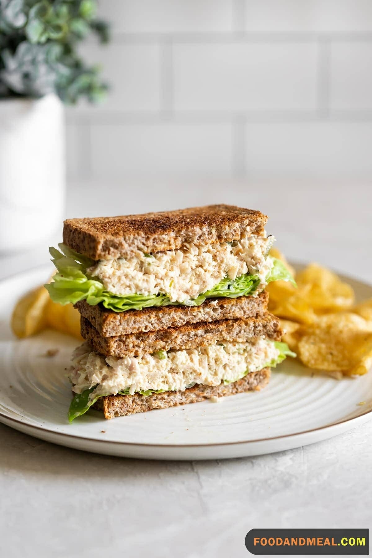 Egg Tuna Sandwich