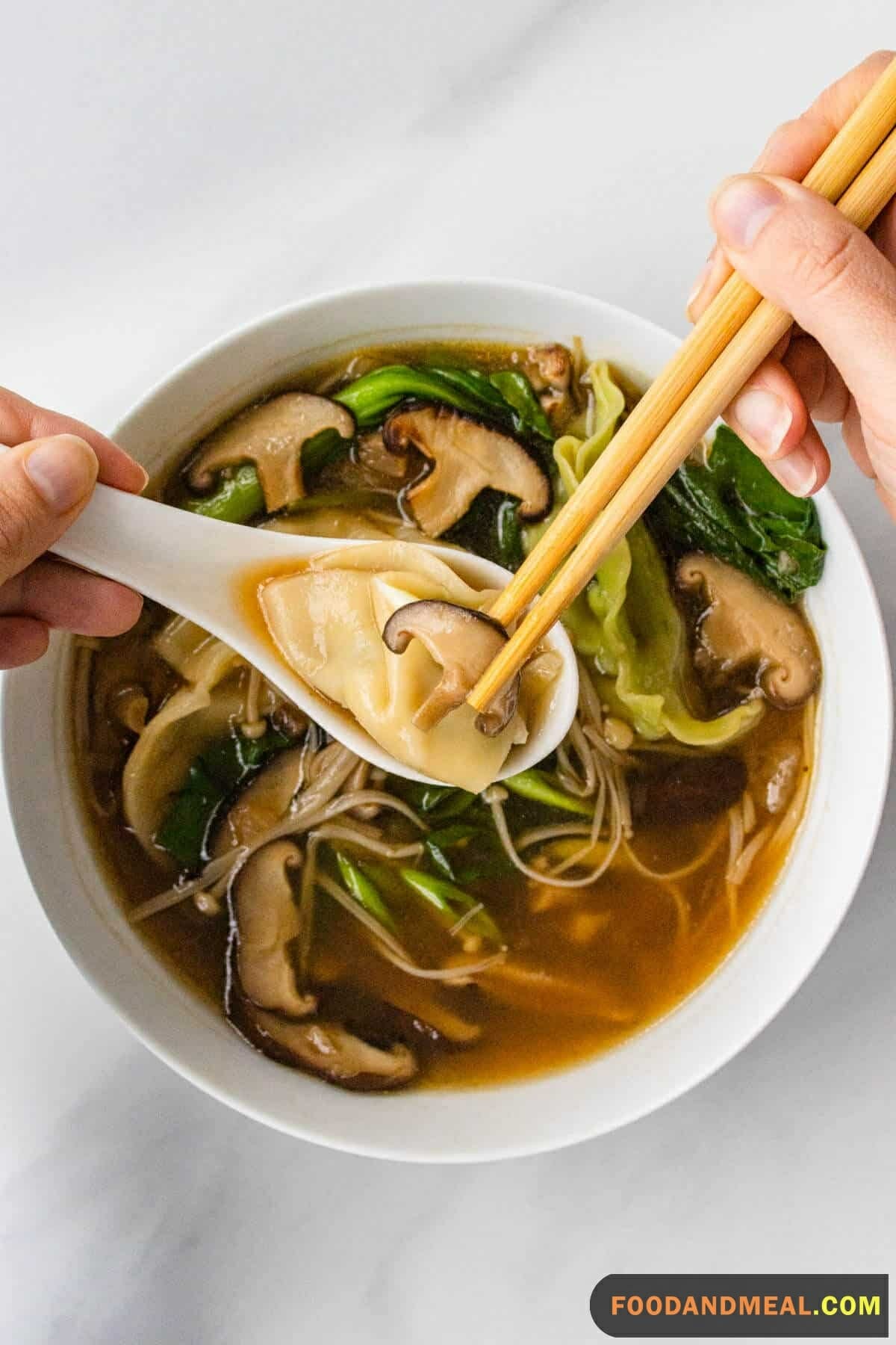 Japanese Mushroom Noodle Soup