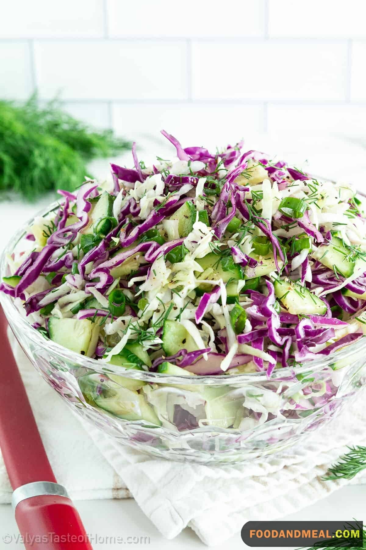  Japanese Cabbage Salad