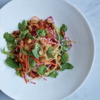 How To Cook Vietnamese Green Papaya Salad With Beef Jerky 1