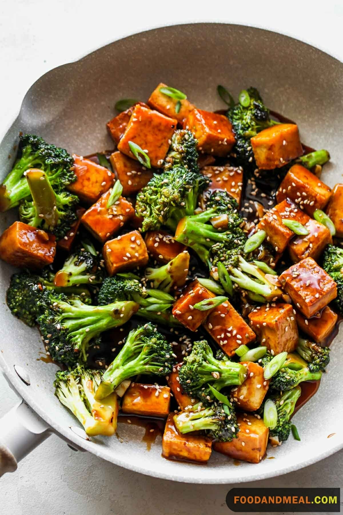 Tofu and Broccoli Teriyaki 