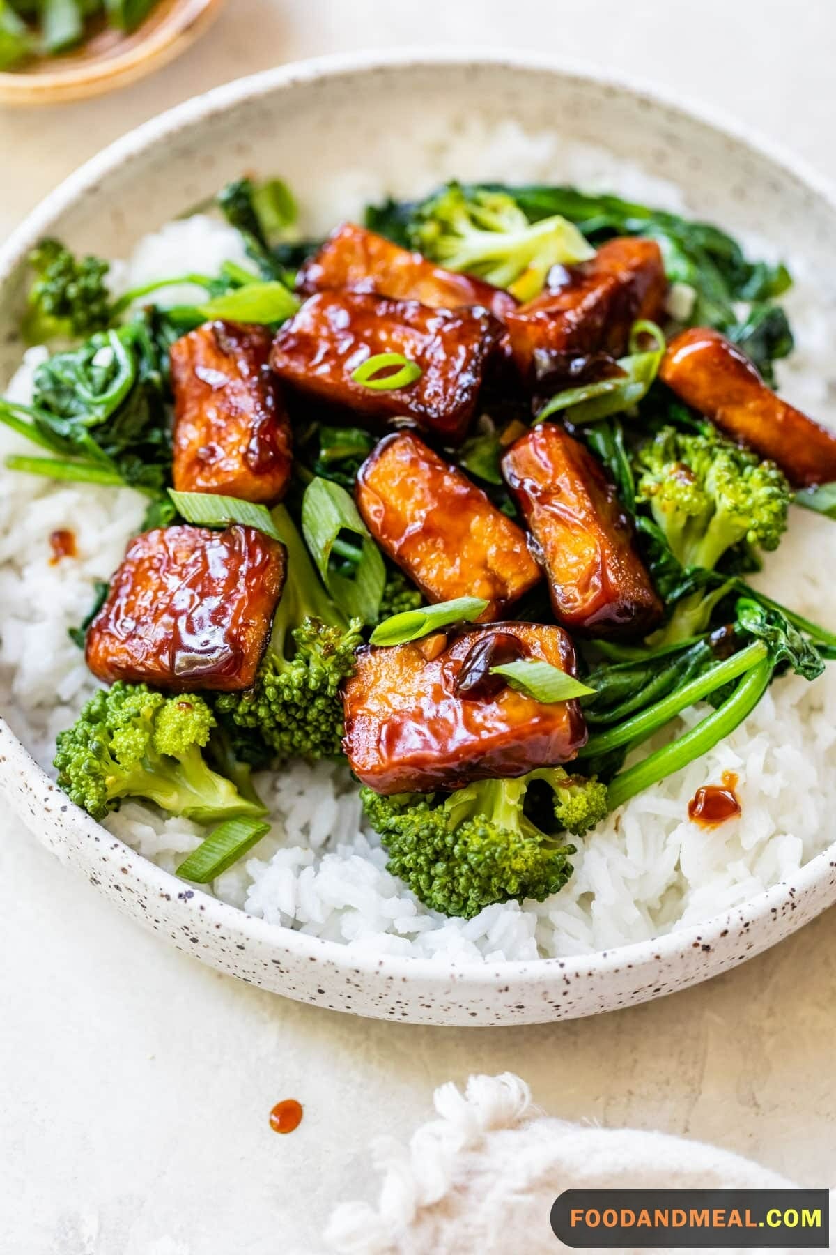 Tofu And Broccoli Teriyaki 