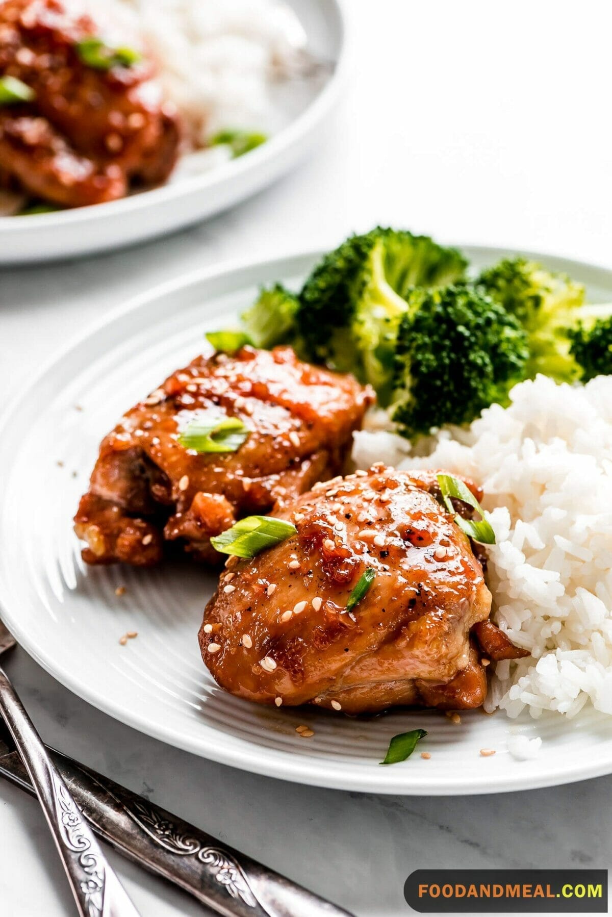 Teriyaki Chicken Thighs