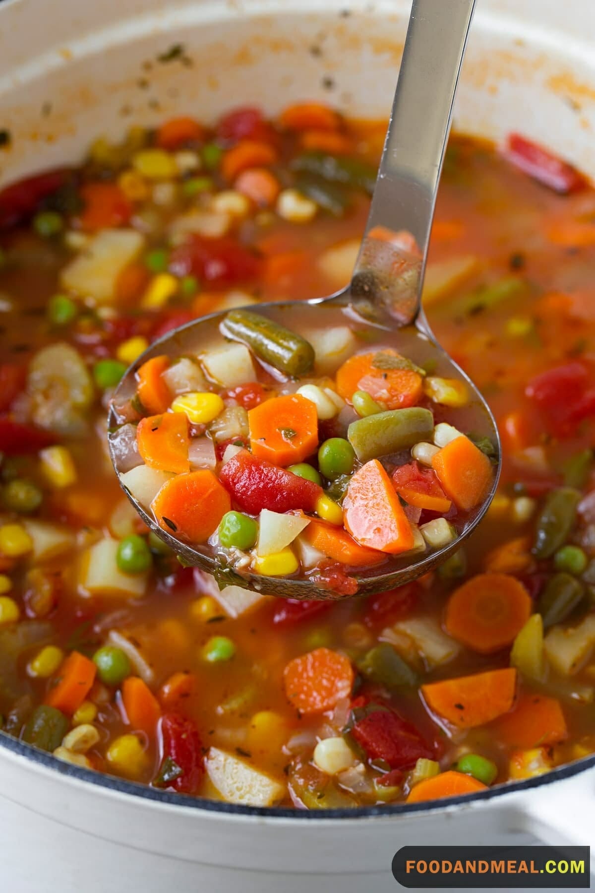 Vegetable Soup