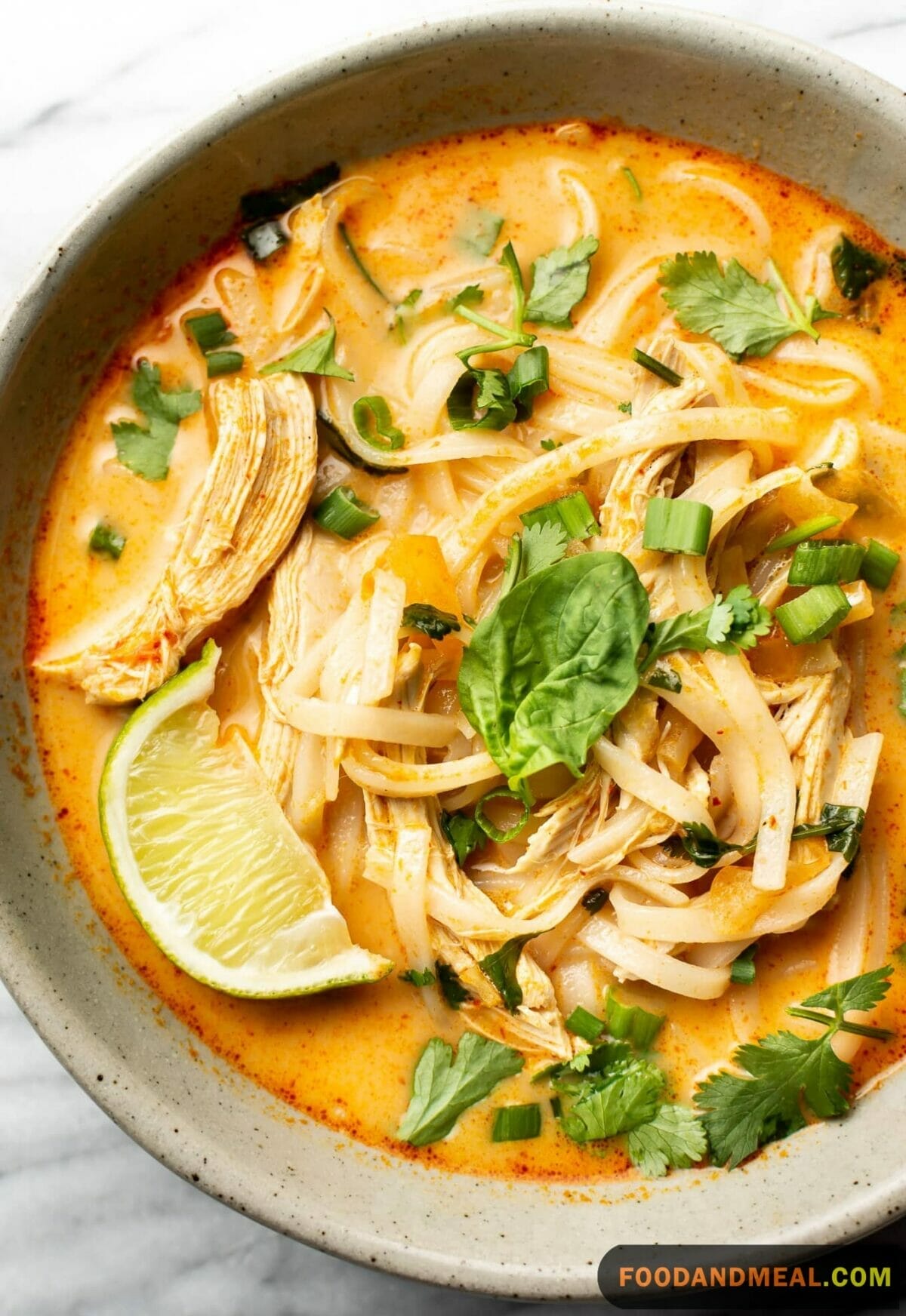 Thai chicken soup