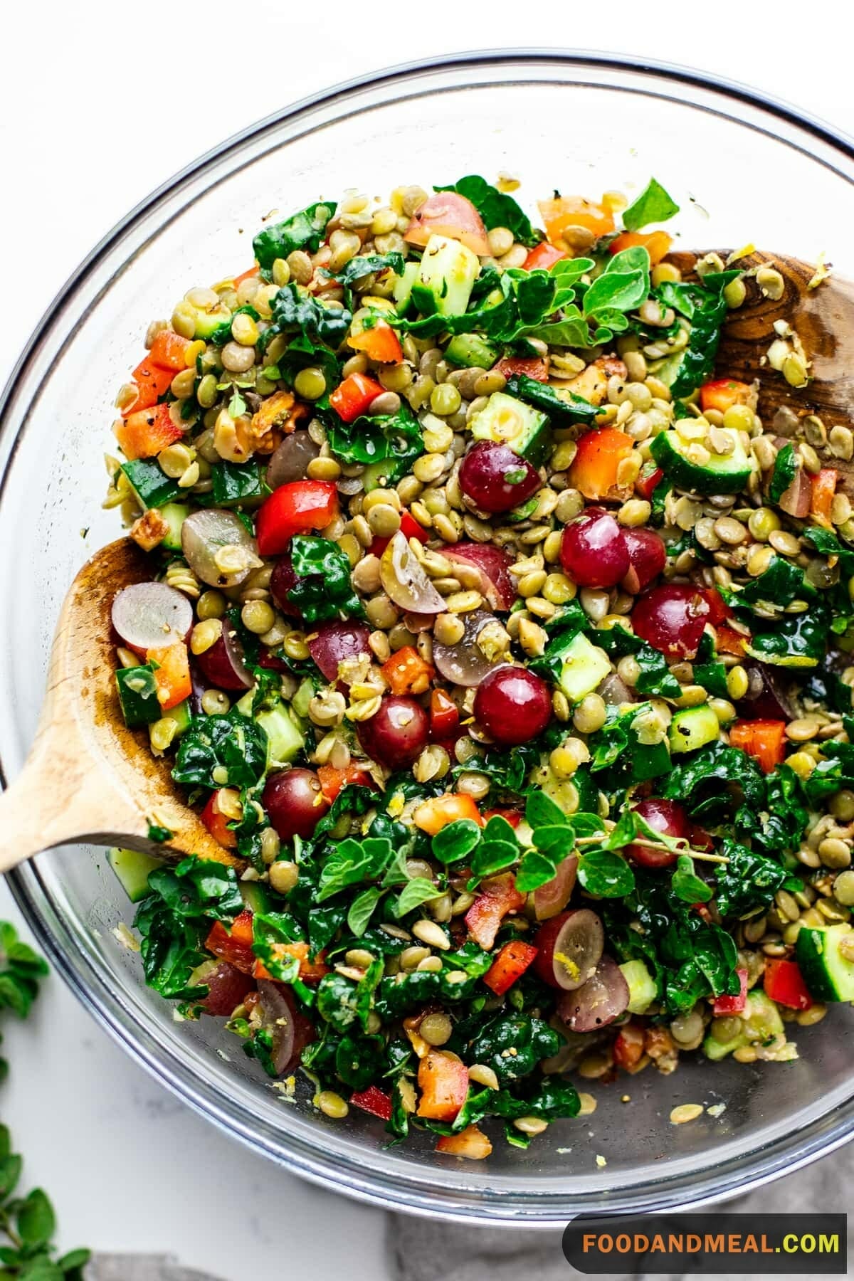 Lentil Salad