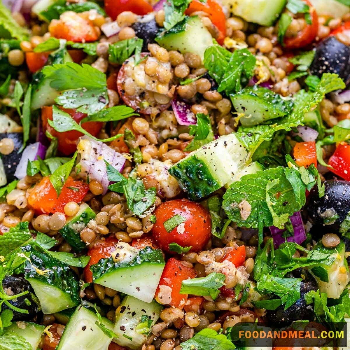 Lentil Salad