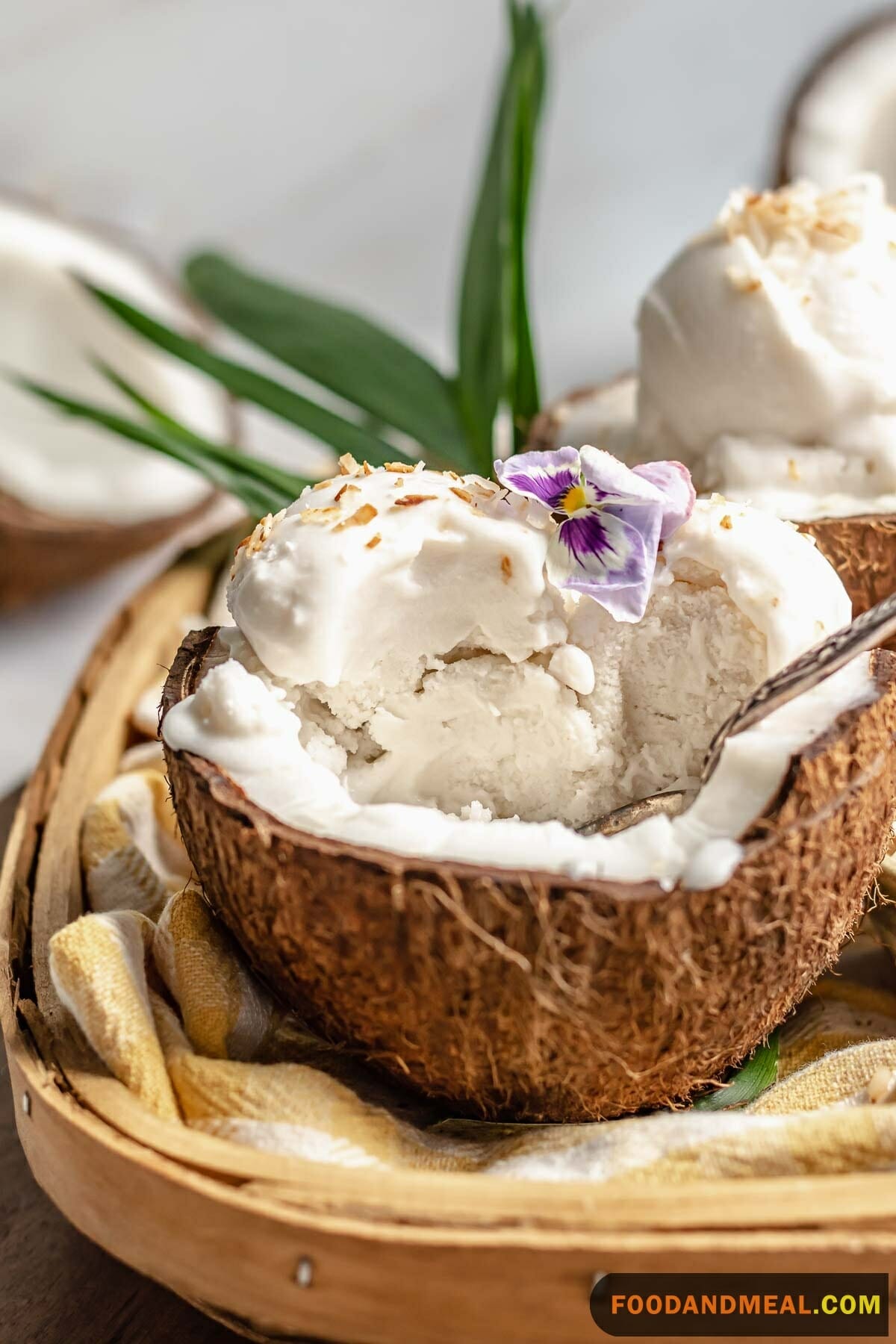 Coconut Sorbet