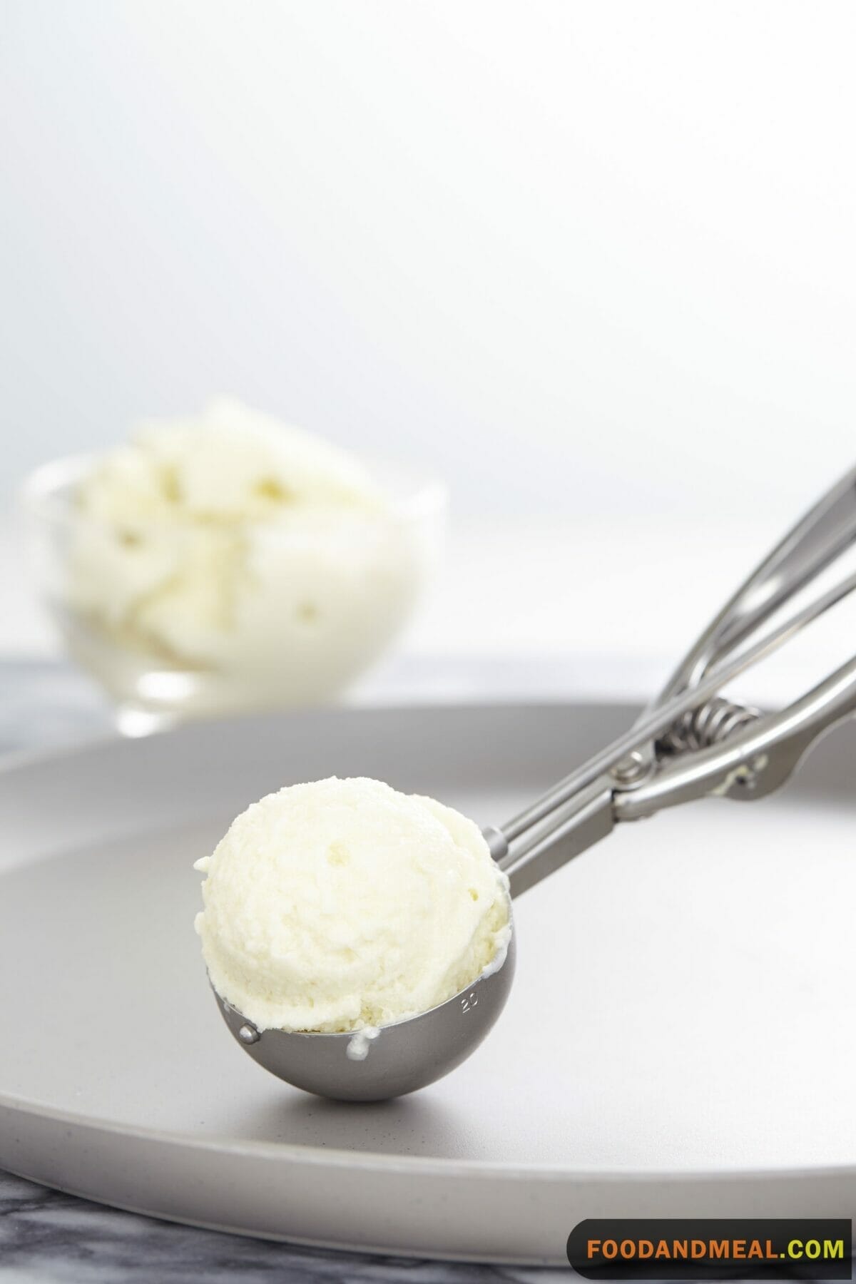 Coconut Sorbet