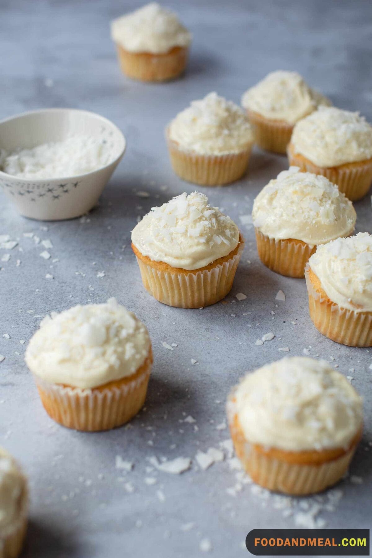 Coconut Cupcake