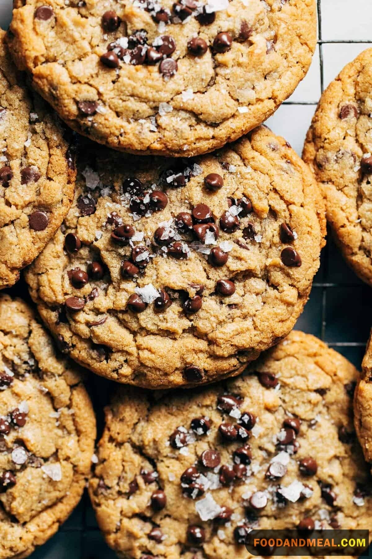 Peanut Butter Chocolate Chip Cookies