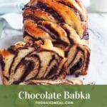 Tips And Tricks To Have A Delicious Chocolate Babka