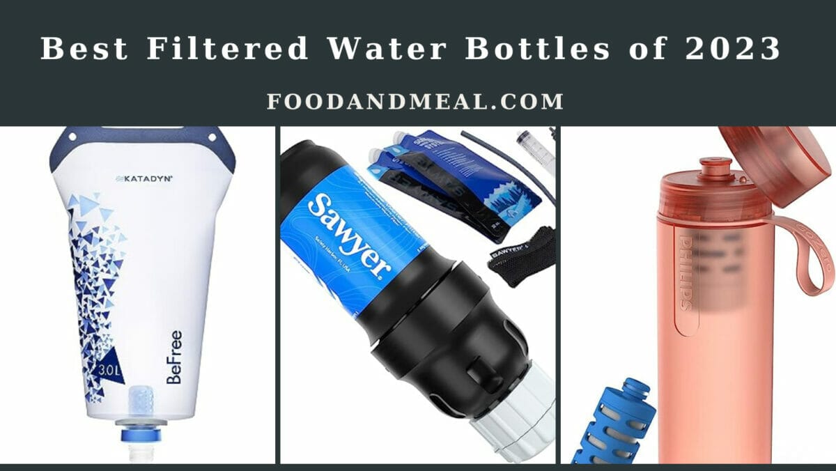 Stay Hydrated And Healthy: Best Filtered Water Bottles Of The Year