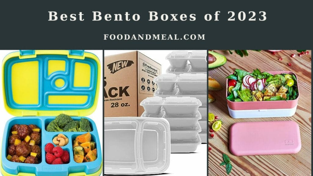 Best Bento Boxes Of 2023
