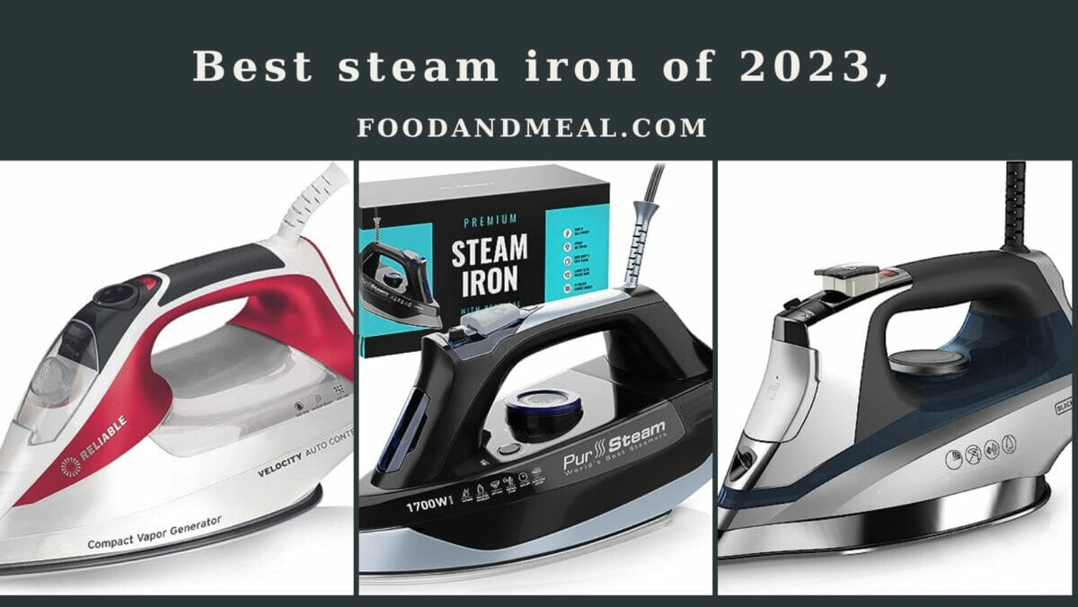  Best Steam Iron Of 2023,