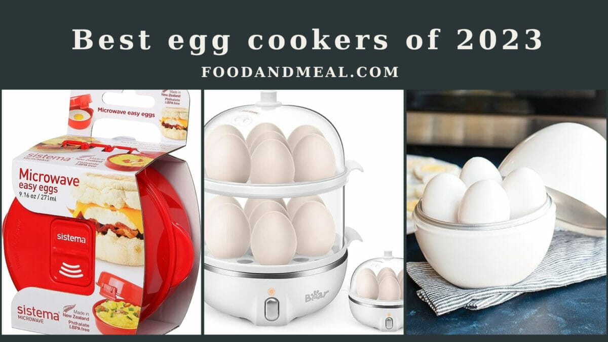  Best Egg Cookers Of 2023