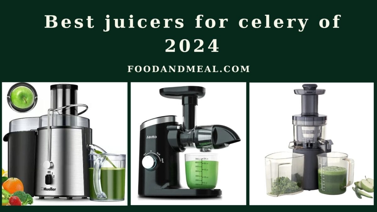 Best Juicers For Celery Of 2024