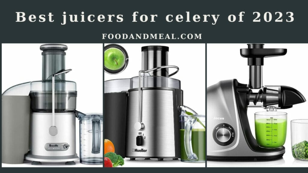 Celery Juicing Revolution: The Best Juicers for Optimal Health in 2023