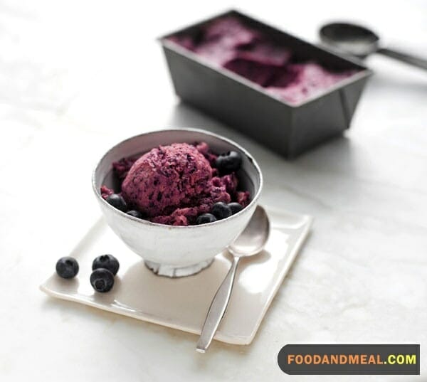 Creating Artisanal Blueberry Ice Cream At Home 5