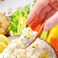 Quick And Easy Lemon Pepper Cheese Dip Blender Recipe 1