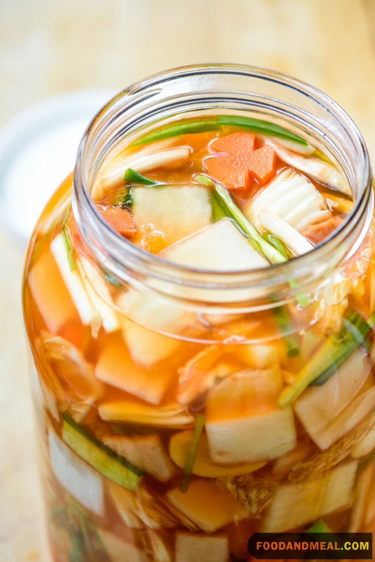 Quick Water Kimchi