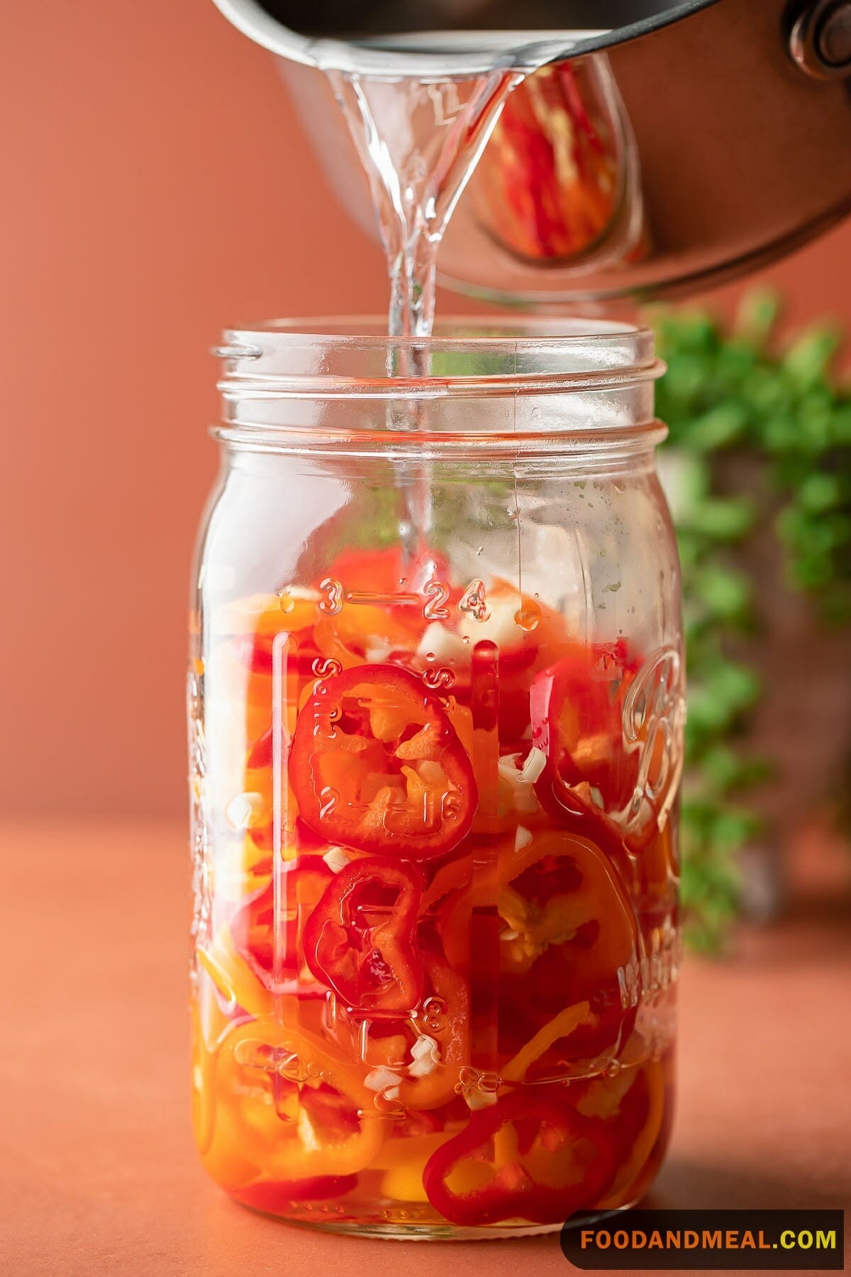 Pickled Chiles