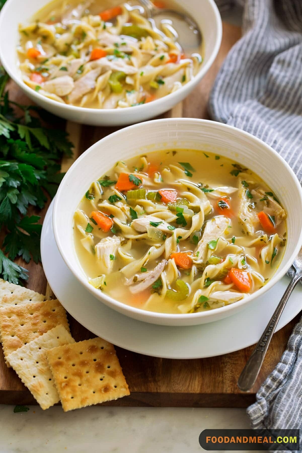 Feast Chicken Noodle Soup