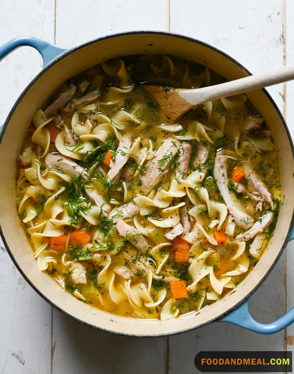 Feast Chicken Noodle Soup