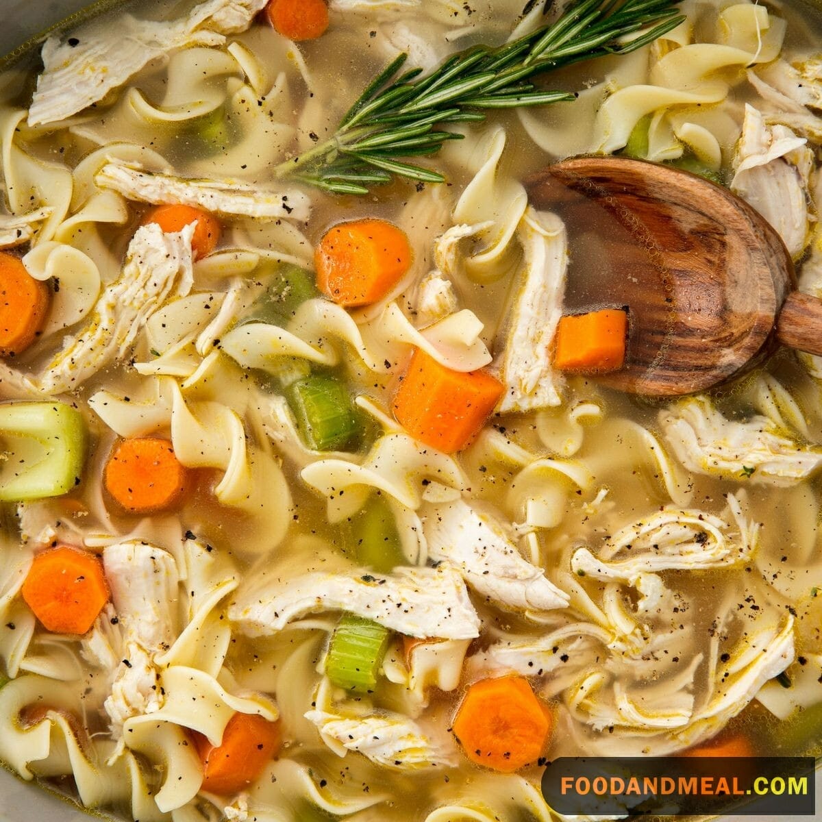 Feast Chicken Noodle Soup