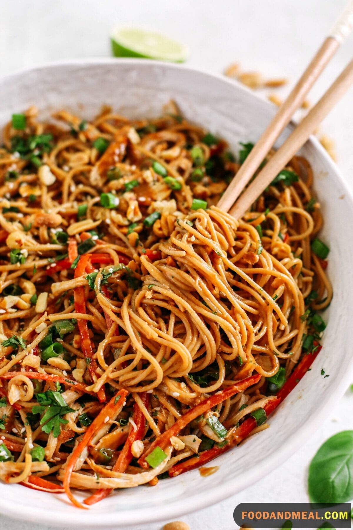  Thai Peanut Chicken And Noodles