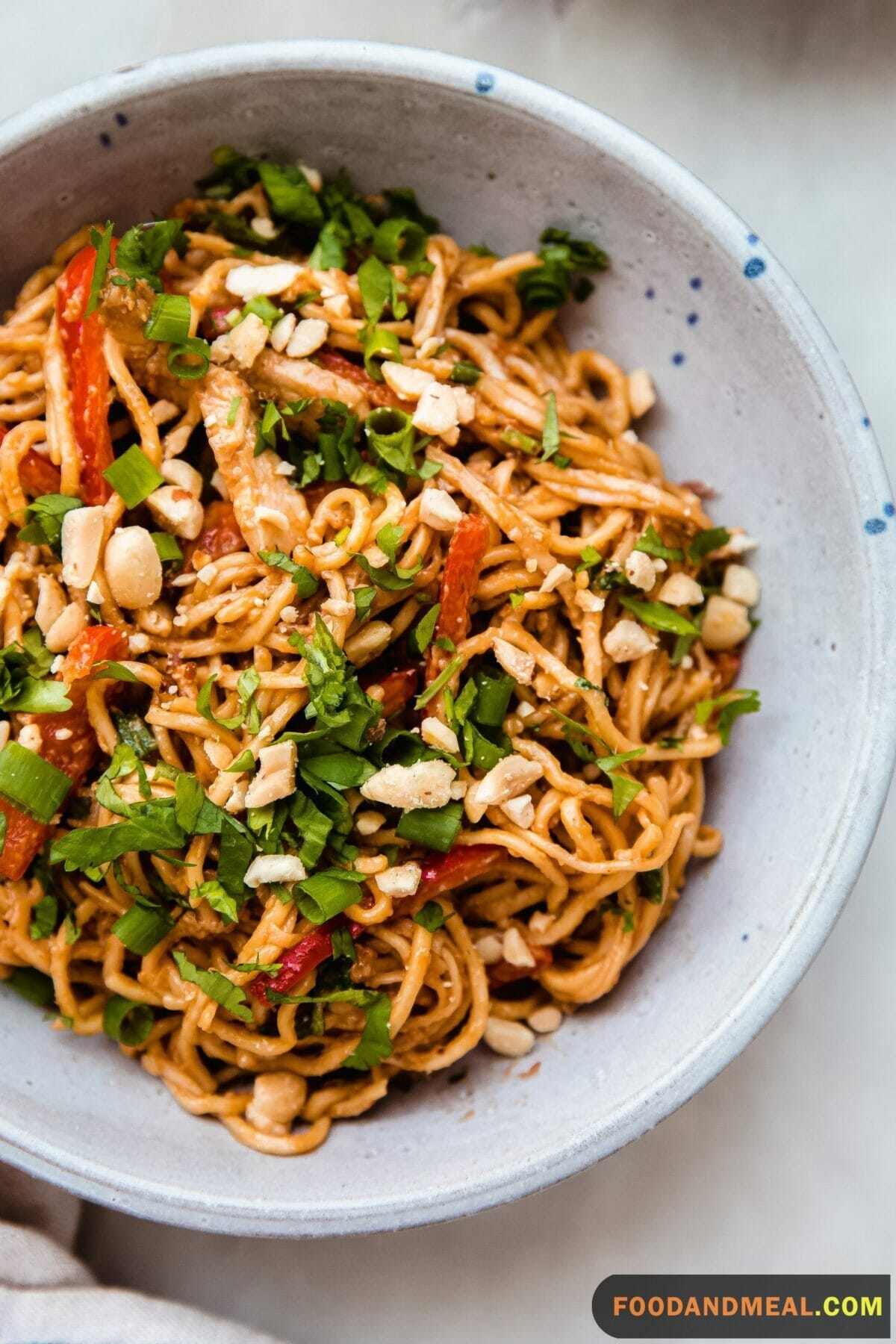  Thai Peanut Chicken And Noodles