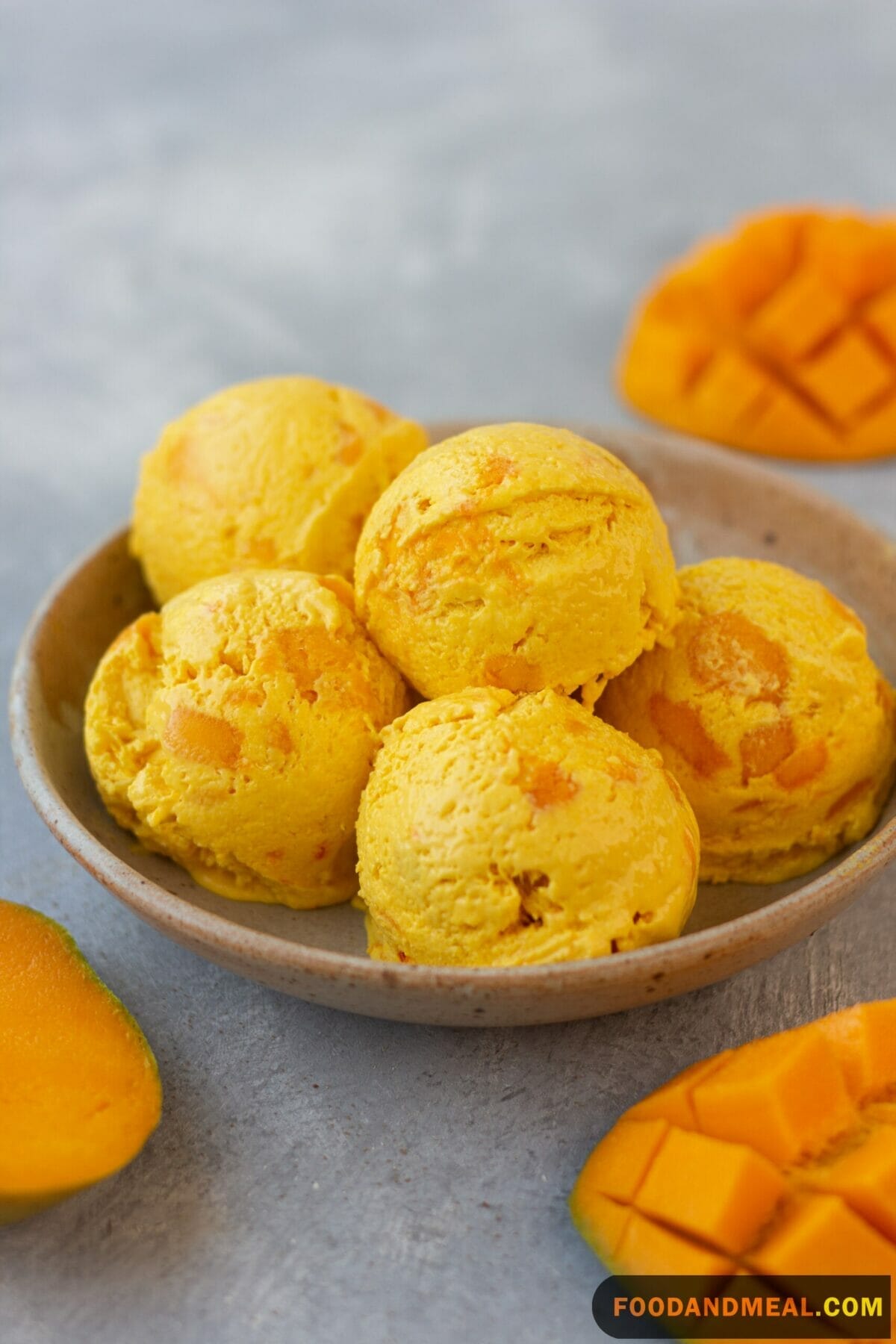 Hai Mango Ice Cream