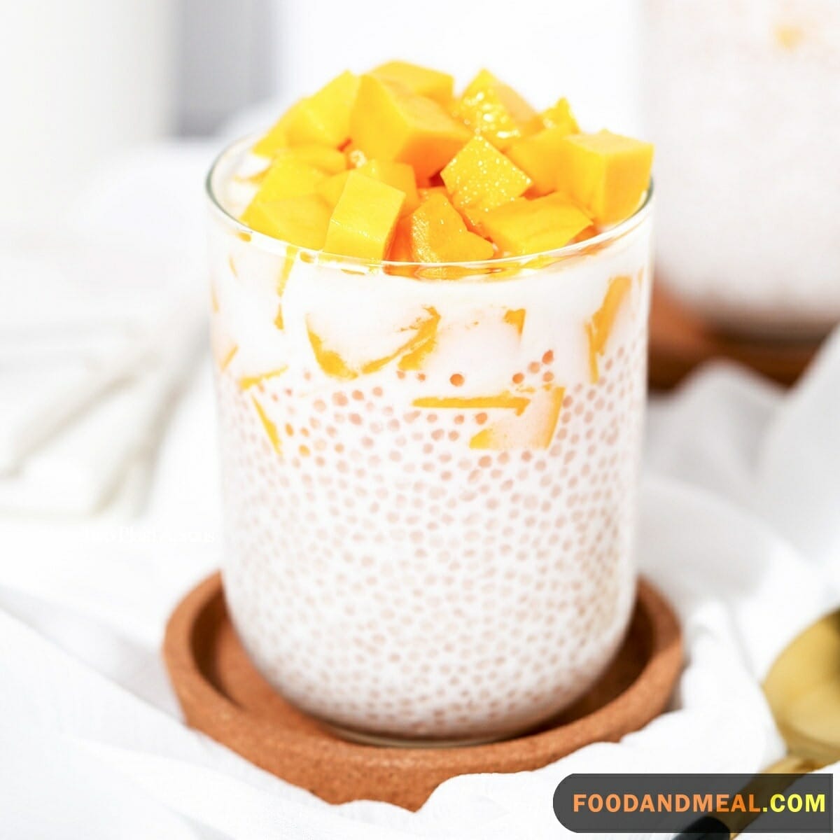 Thai Mango Tapioca Pudding