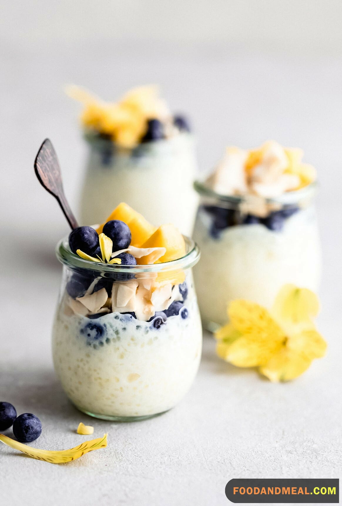 Thai Mango Tapioca Pudding 