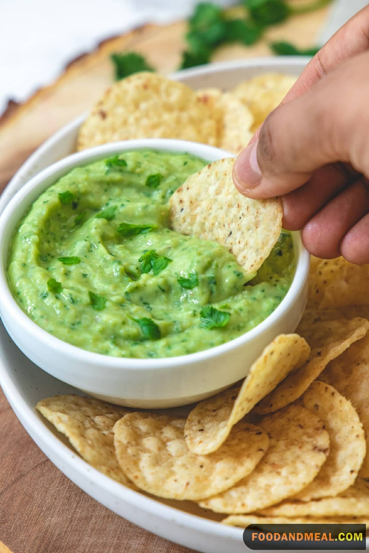  Easy Avocado Dip Recipe