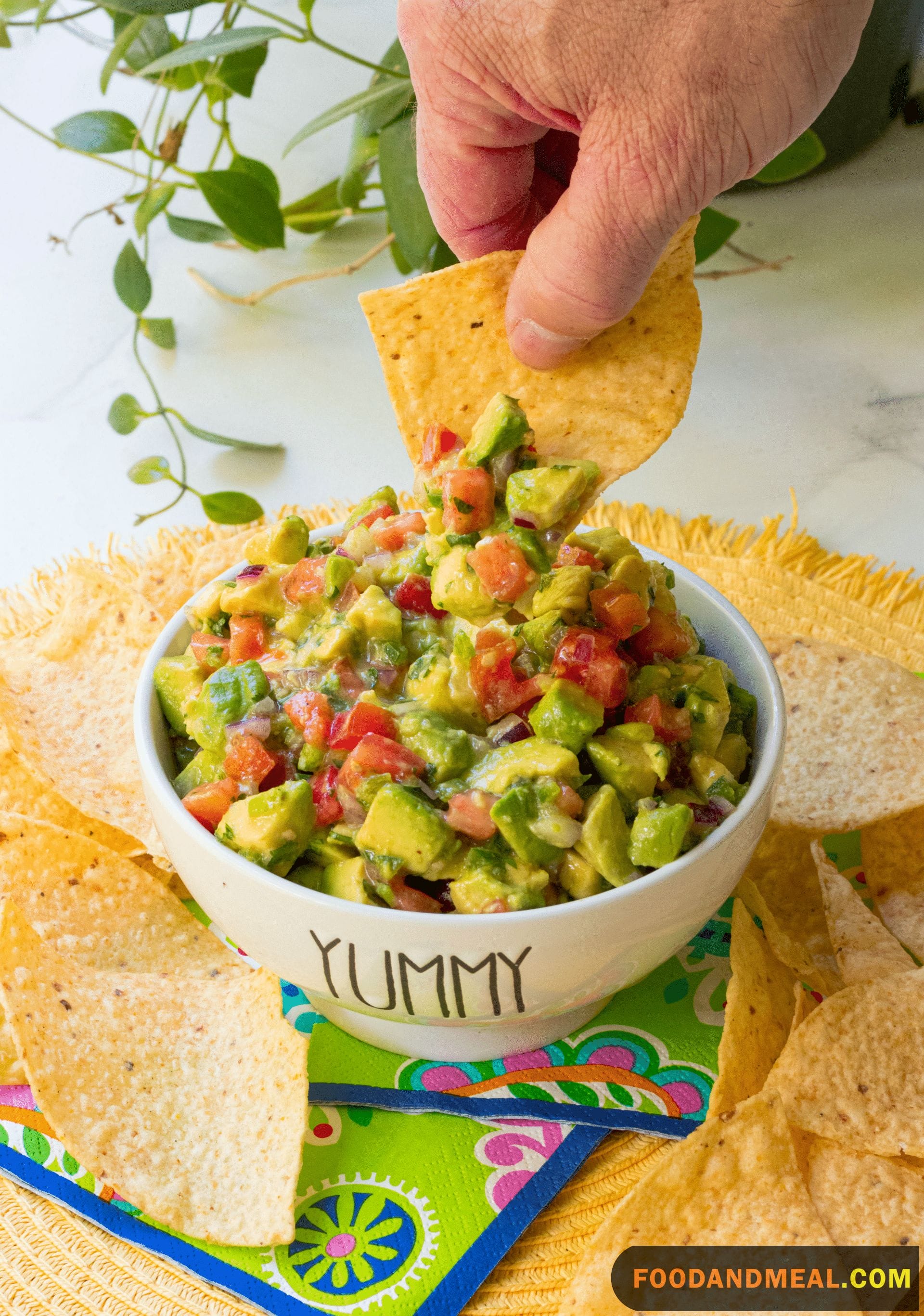 Avocado Salsa Dip