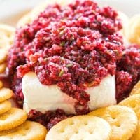 Elevate Your Taste Buds With Blending Delicious Cranberry Salsa 1