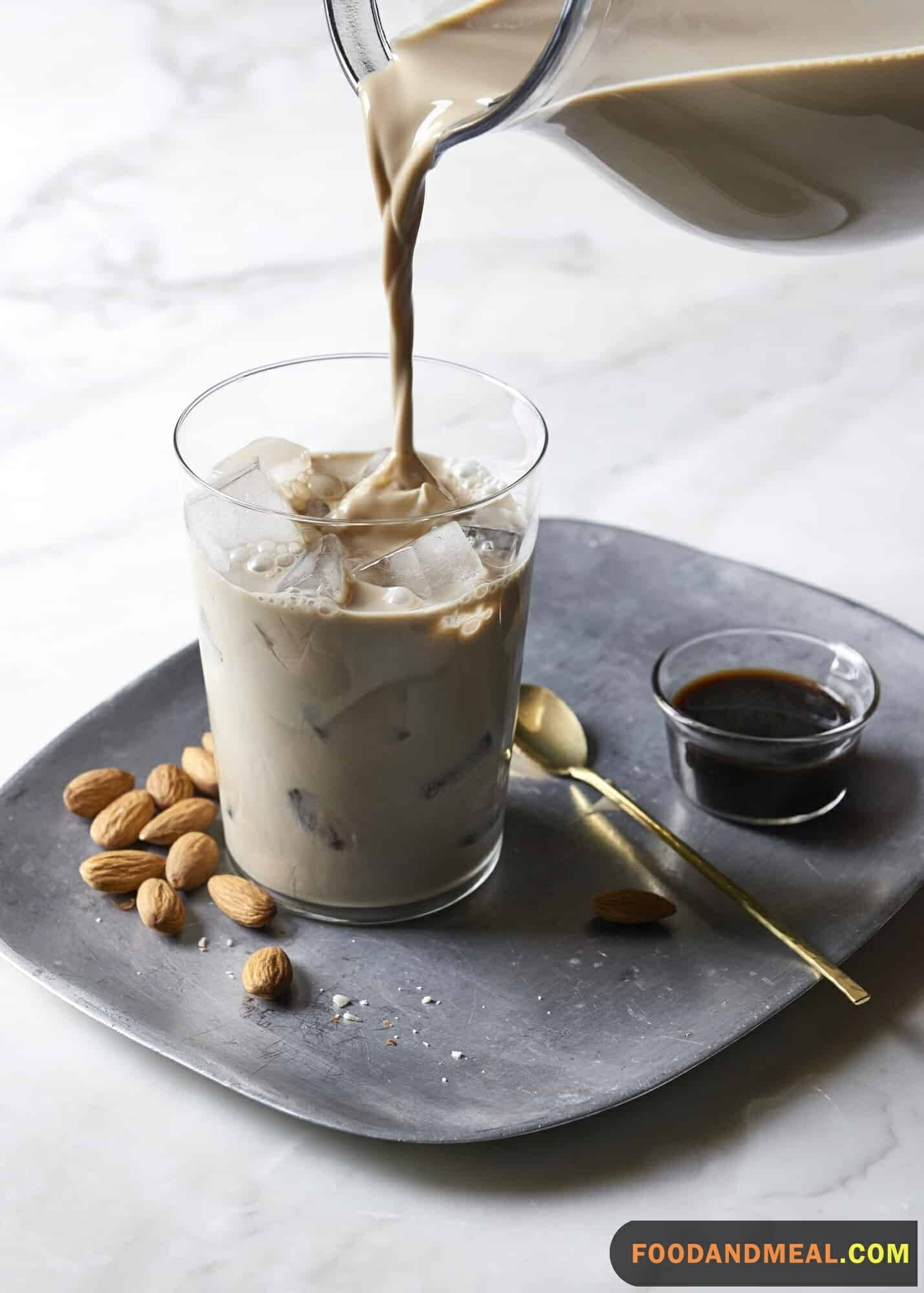 Vegan Style Iced Latte