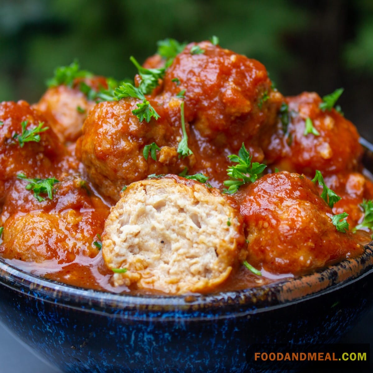  Chicken Meatballs