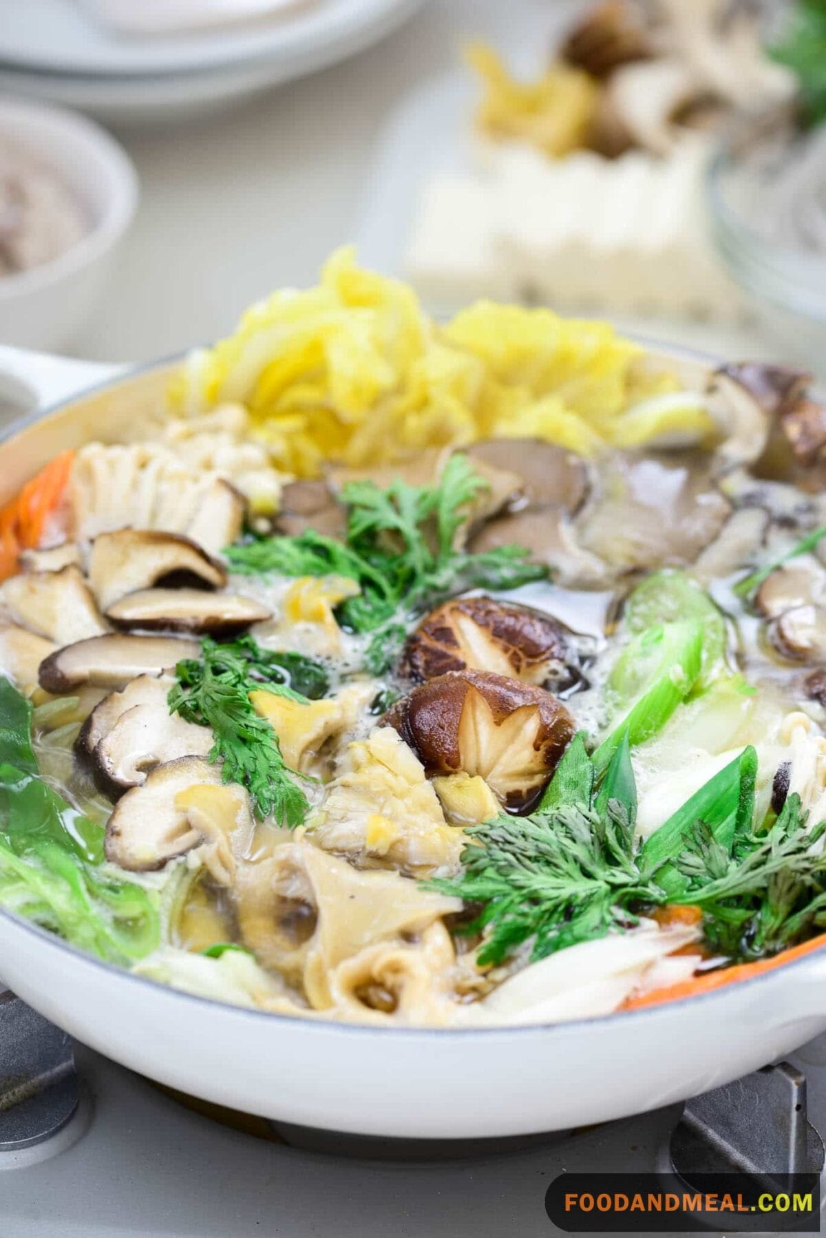 How To Make Japanese Mushroom Cabbage Hot Pot 1 Japanese Mushroom Cabbage Hot Pot