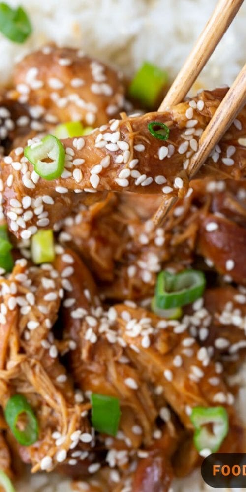10+ Tasty Slow Cooker Recipes You Can Make At Home 12